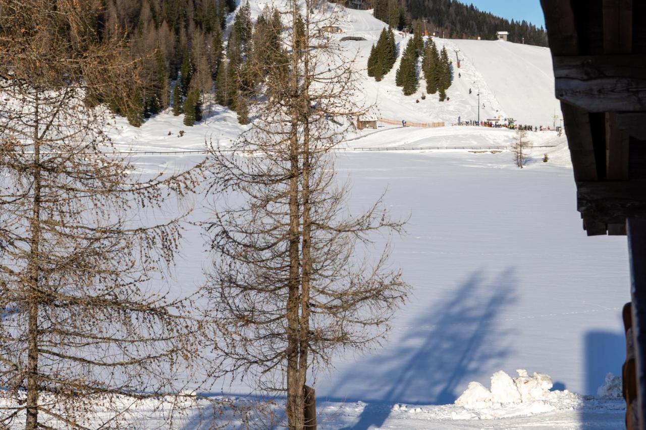 Nassfeld Fruehstueckspension Wulfenia Da Livio Экстерьер фото