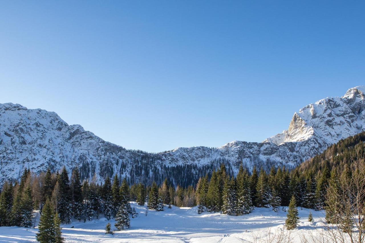 Nassfeld Fruehstueckspension Wulfenia Da Livio Экстерьер фото